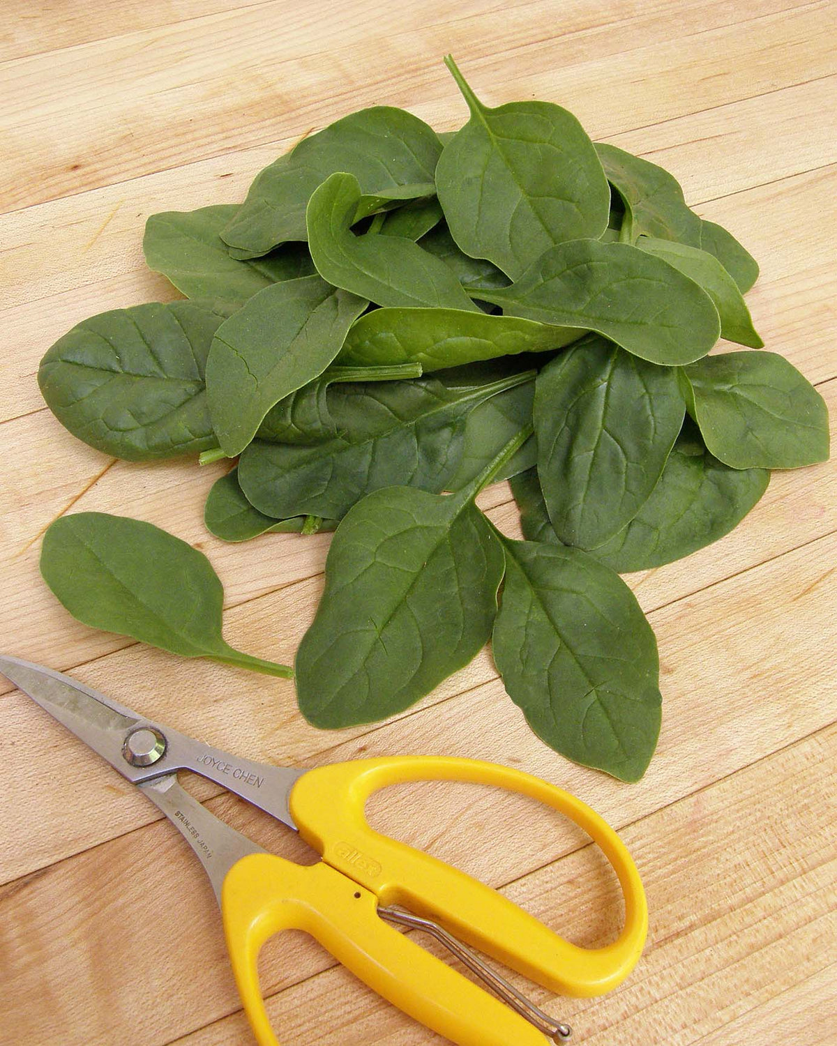 Baby Leaf Spinach - Catalina