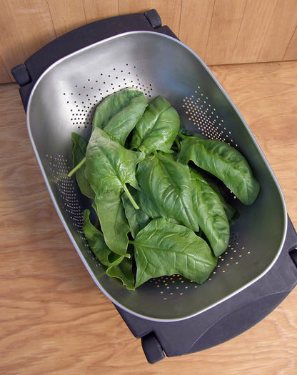 Long-Standing Spinach - Summer Perfection