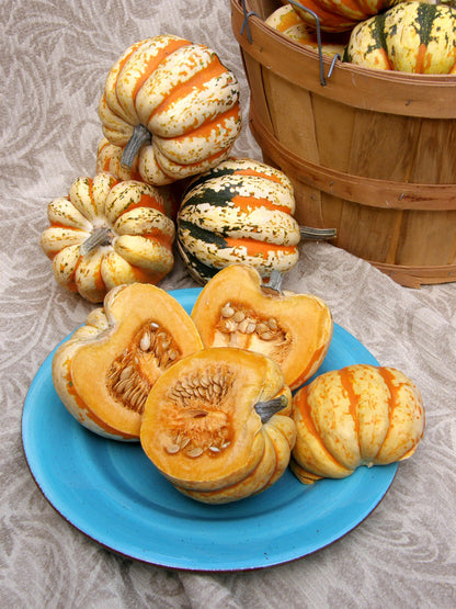 Winter Squash - Carnival