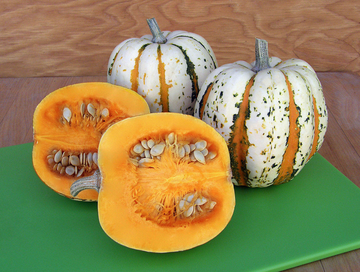 Winter Squash - Carnival
