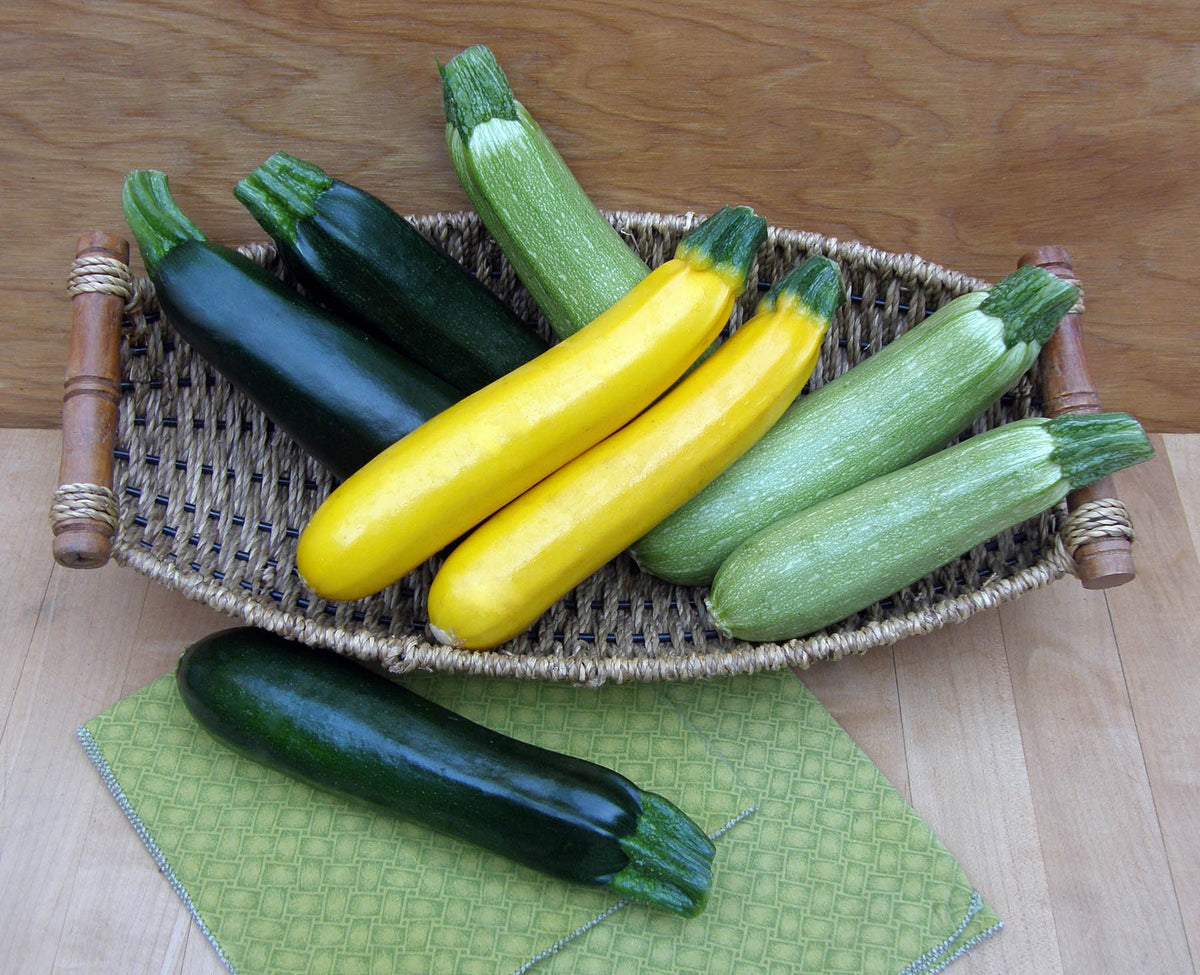 Tricolor Zucchini - Jade, Gold & Emerald
