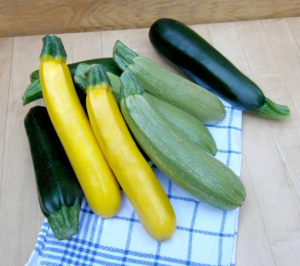 Tricolor Zucchini - Jade, Gold & Emerald