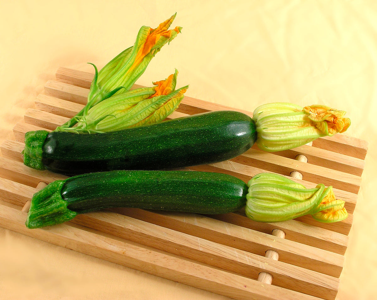 Dark Green Zucchini - Twilight