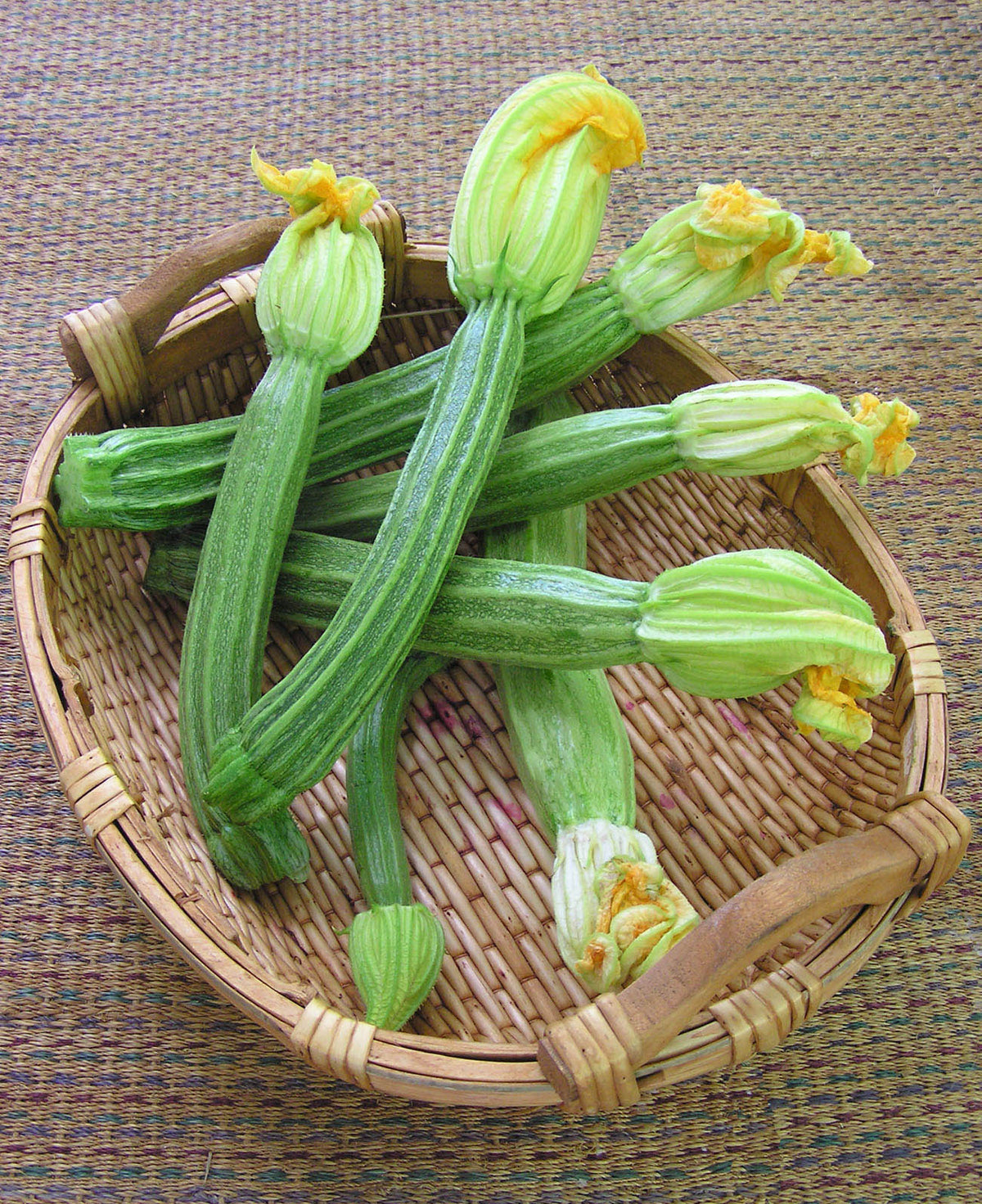 Italian Zucchini - Romanesco