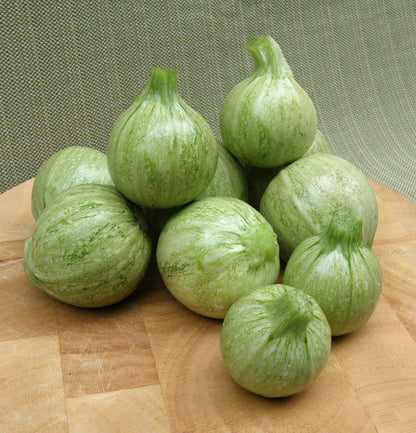 Heirloom French Zucchini - Ronde de Nice Organic
