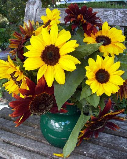 Bouquet Sunflowers - Bright Bandolier