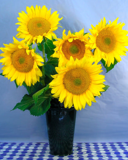 Ornamental Sunflowers - Van Gogh