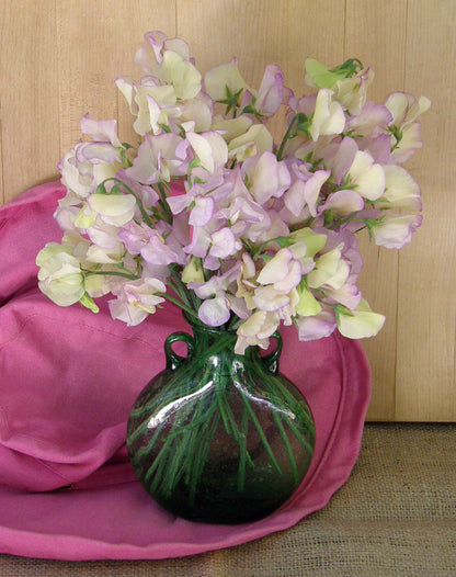 Fragrant Sweet Peas - April in Paris
