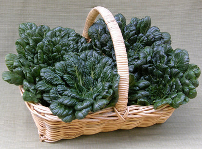 Heirloom Asian Greens - Rosette Tatsoi