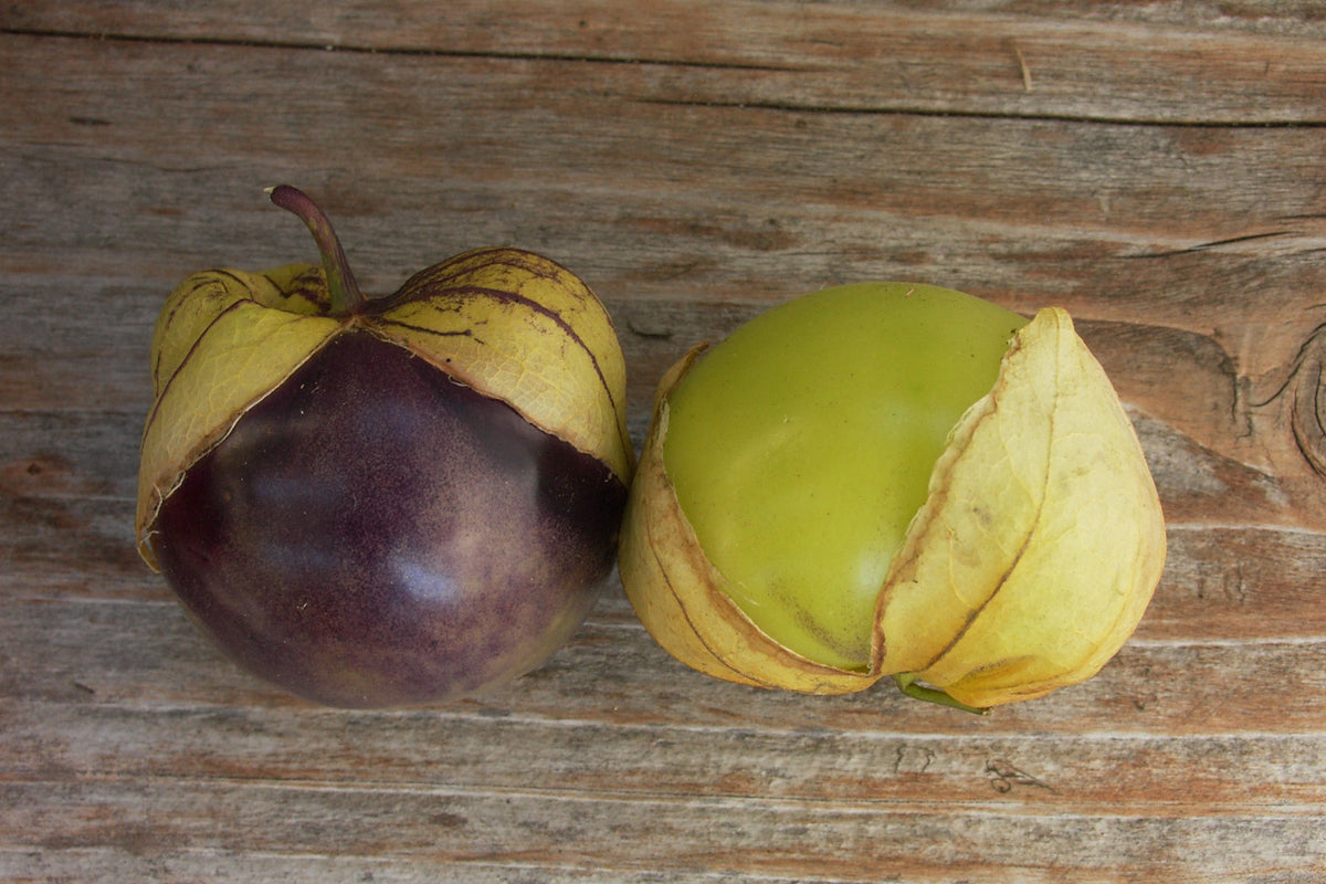 Mexican Tomatillos - Two Color Fiesta
