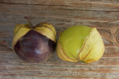 Mexican Tomatillos - Two Color Fiesta