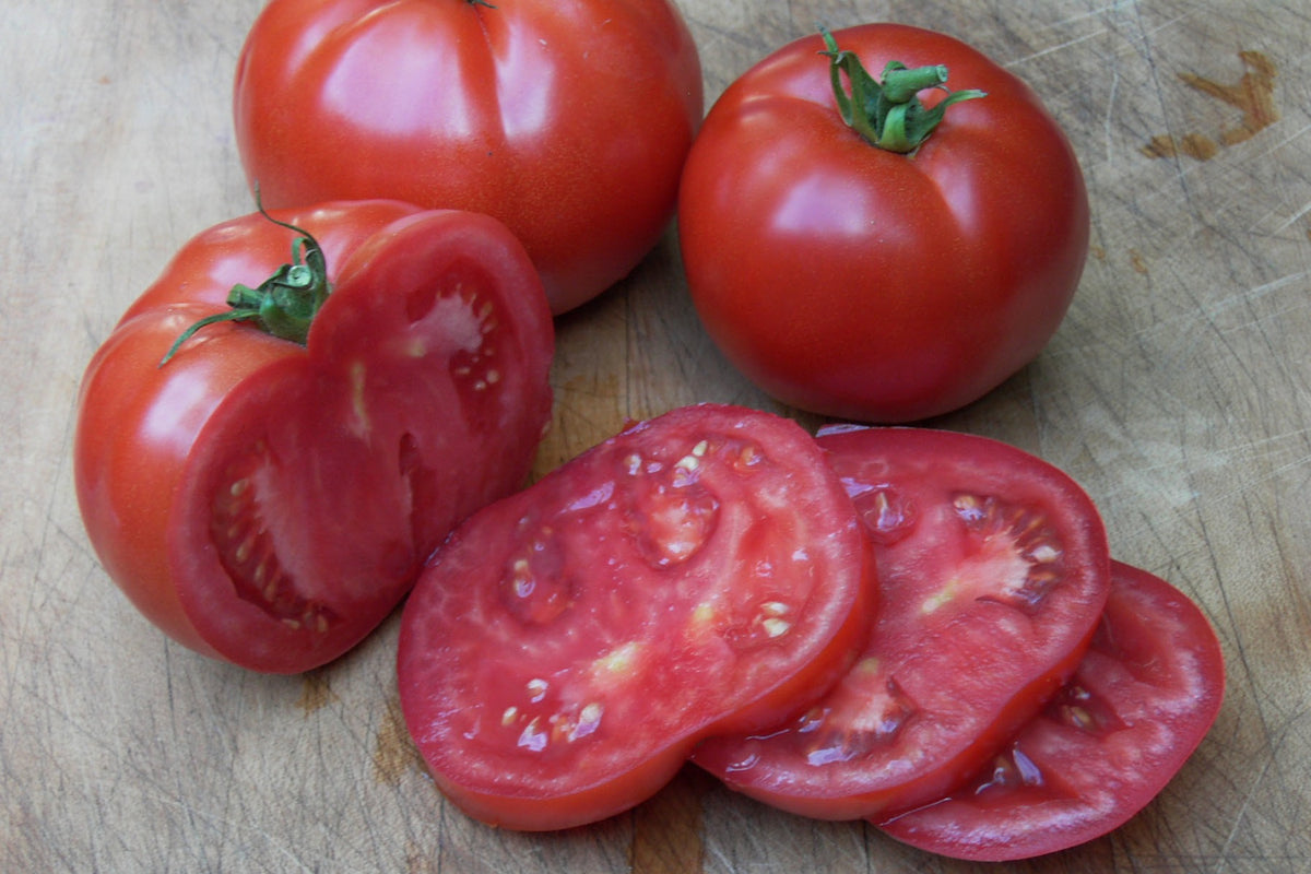 Beefsteak Tomato - Big Beef