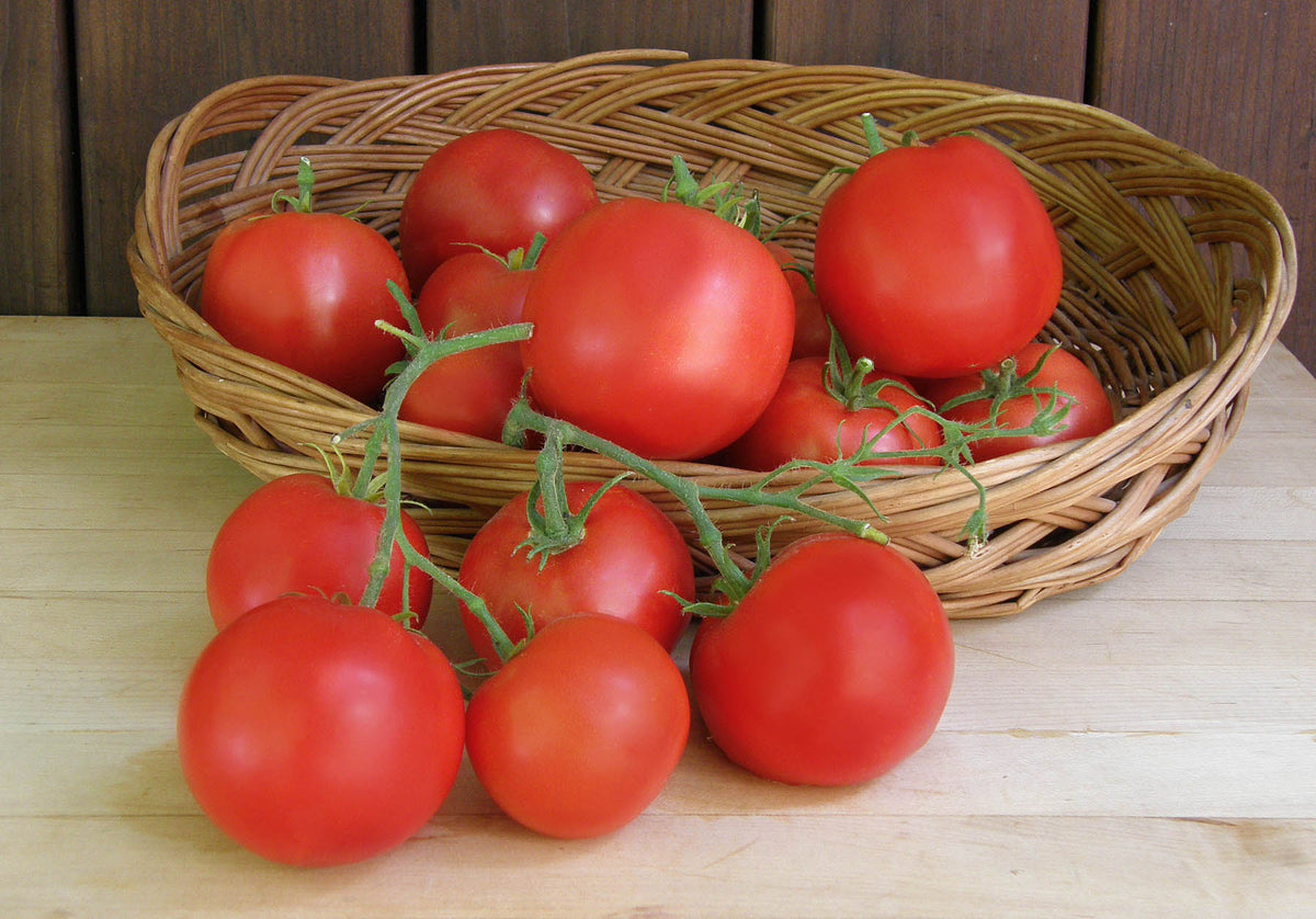 Top Flavor Tomato - Crimson Carmello