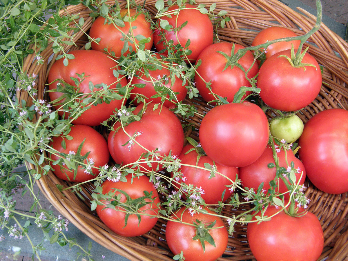 Top Flavor Tomato - Crimson Carmello