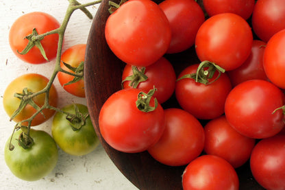 Heirloom Tomatoes - Camp Joy Cherry