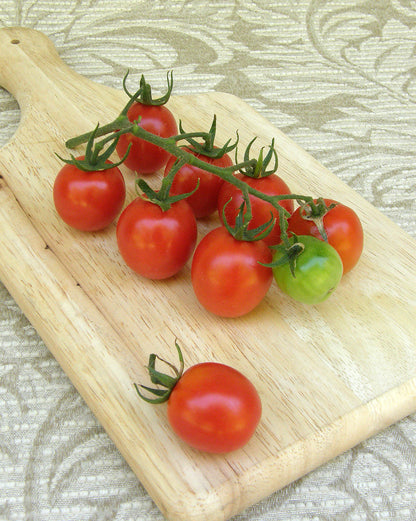 Heirloom Tomatoes - Camp Joy Cherry