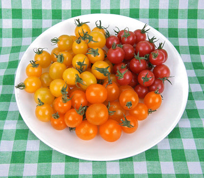 Tricolor Cherry Tomatoes - Garden Candy