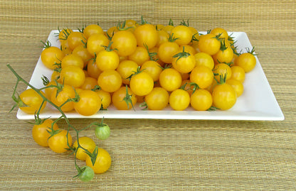 Cherry Tomato - Sweet Gold