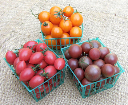 Cherry Tomato Trio - Triple Treats