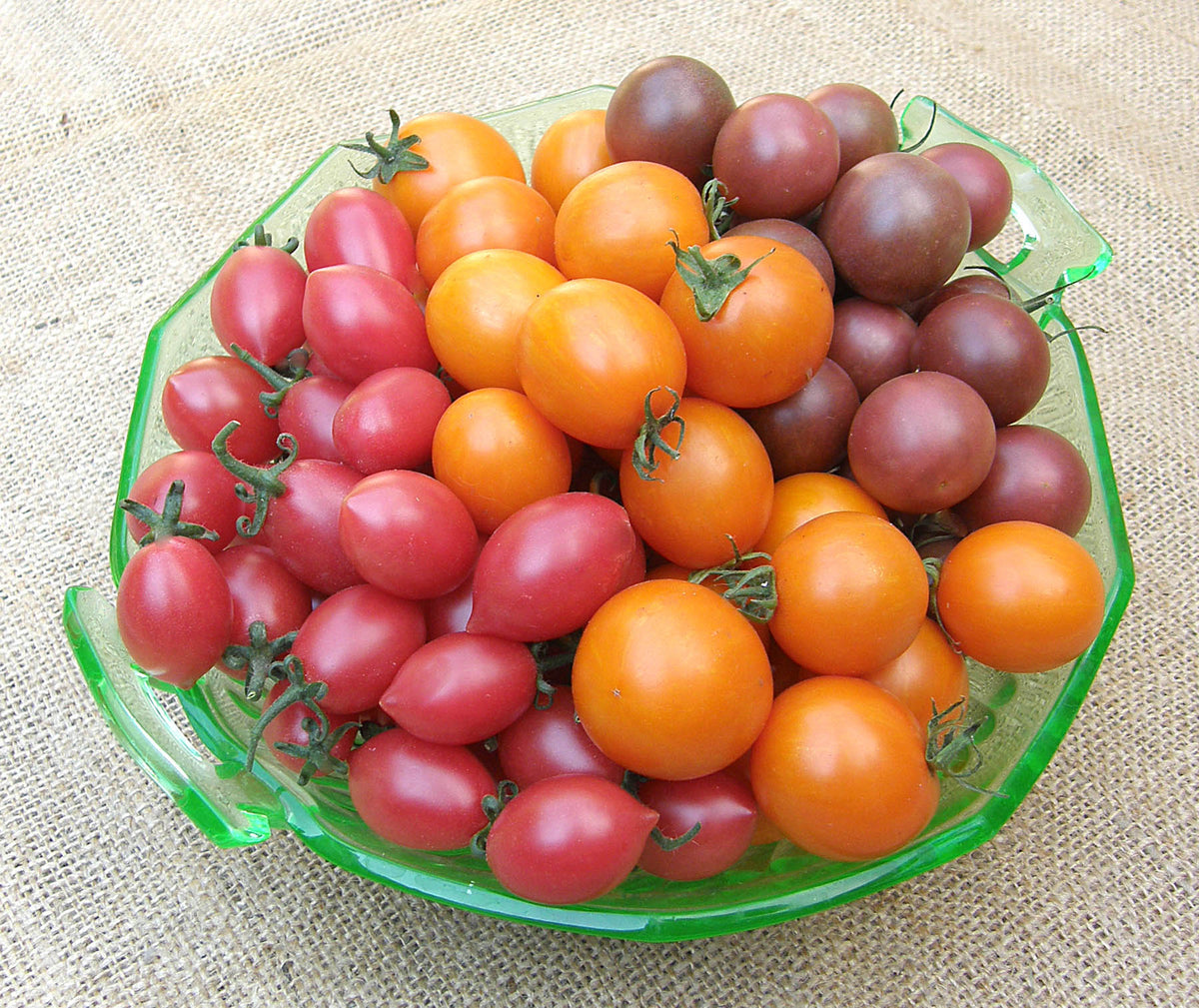 Cherry Tomato Trio - Triple Treats