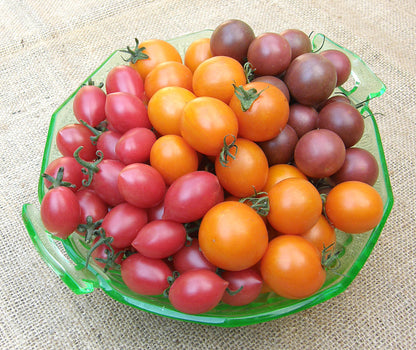 Cherry Tomato Trio - Triple Treats