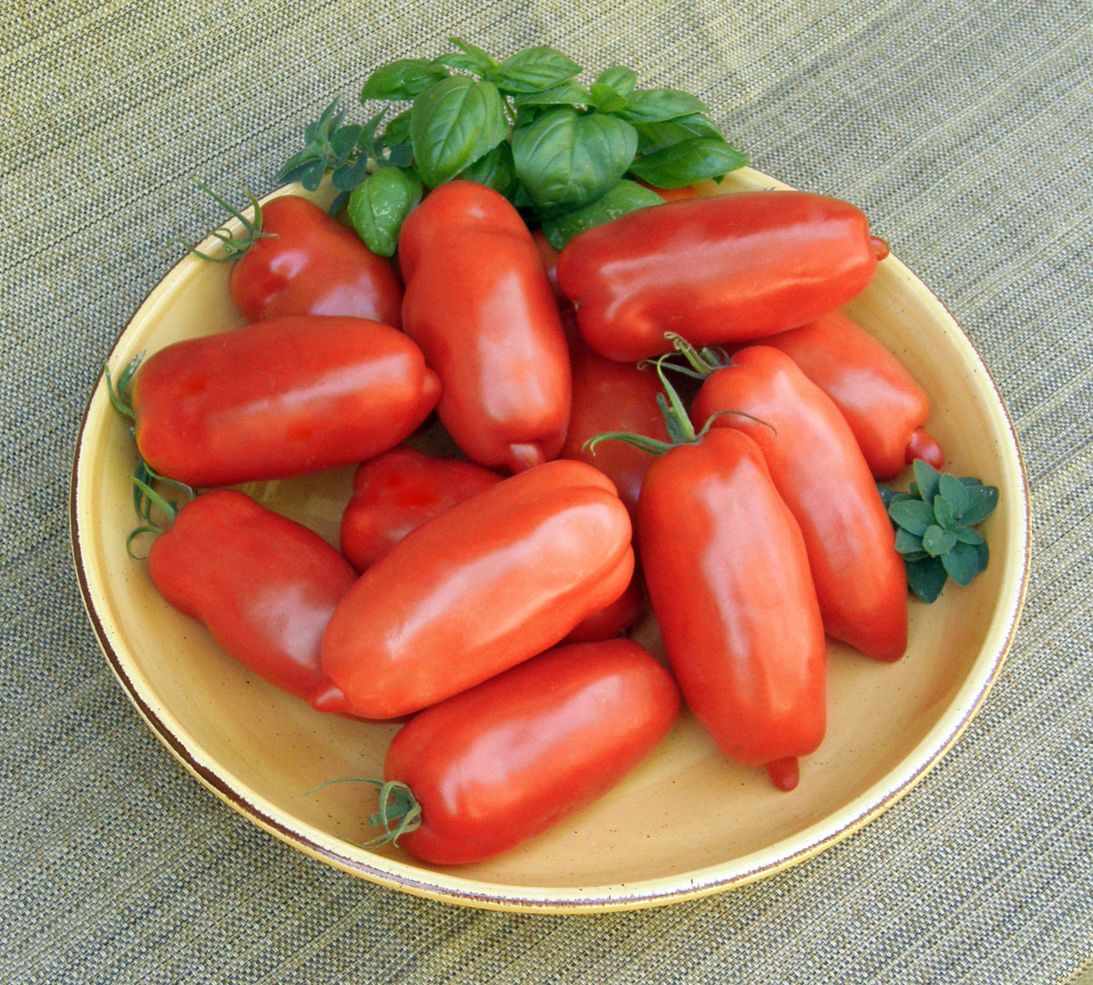 “Roma” Sauce Tomato - Pompeii