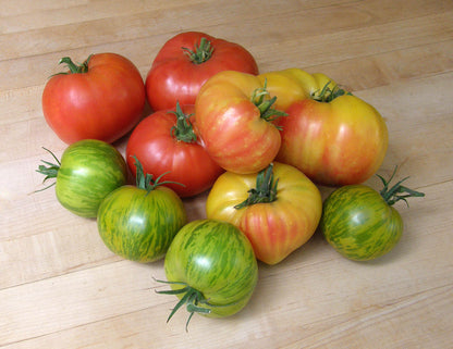 Heirloom Tomatoes - Rainbow’s End