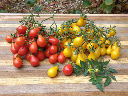 Heirloom Mini Tomatoes - Red & Yellow Pear