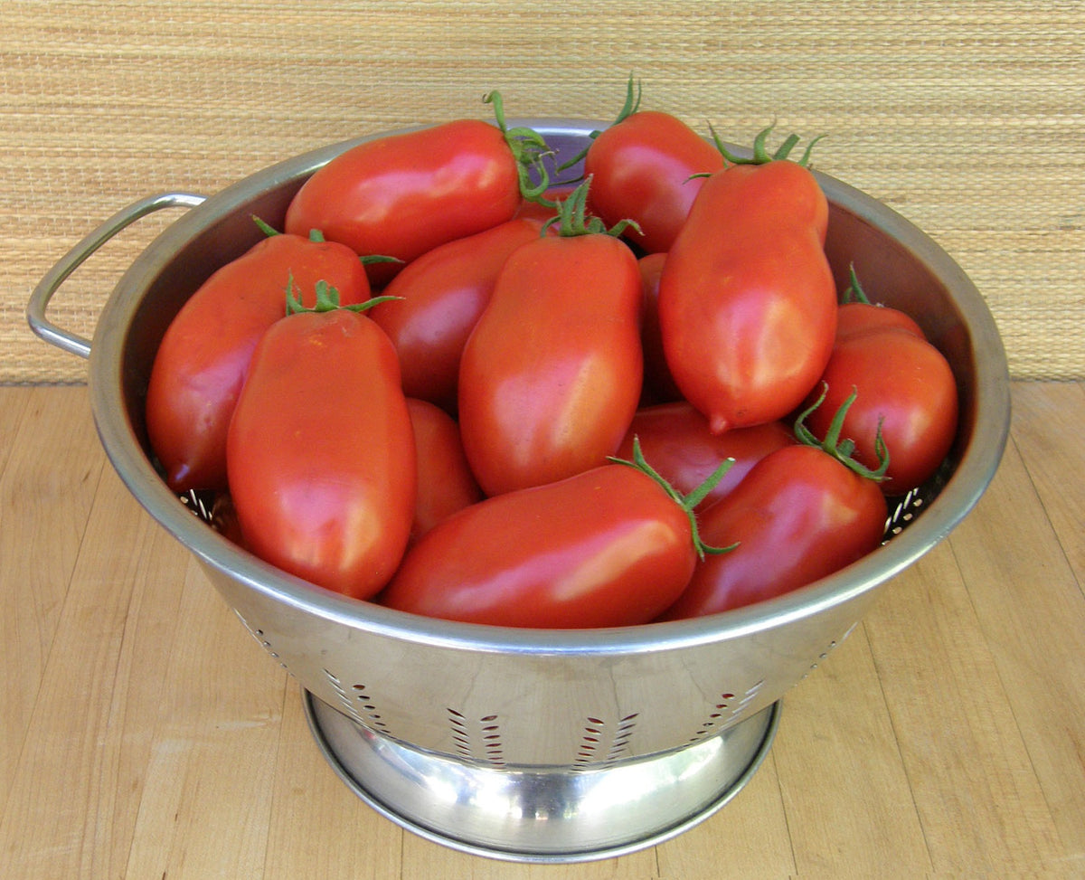 Heirloom Sauce Tomato - Italian San Marzano Organic