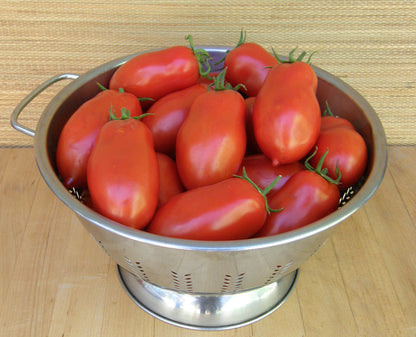 Heirloom Sauce Tomato - Italian San Marzano Organic