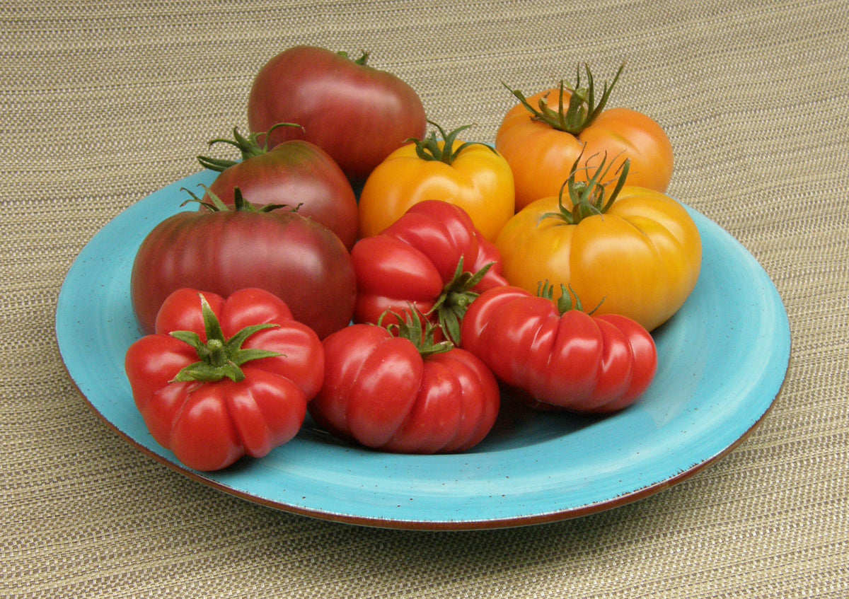 Heirloom Tomatoes - Summer Feast