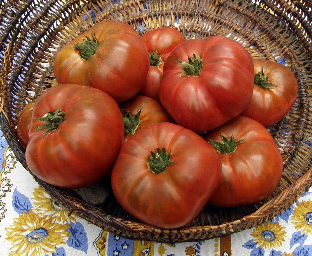 Heirloom Container Tomatoes - Tasmanian Chocolate Organic