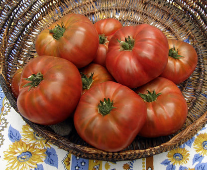 Heirloom Container Tomatoes - Tasmanian Chocolate Organic