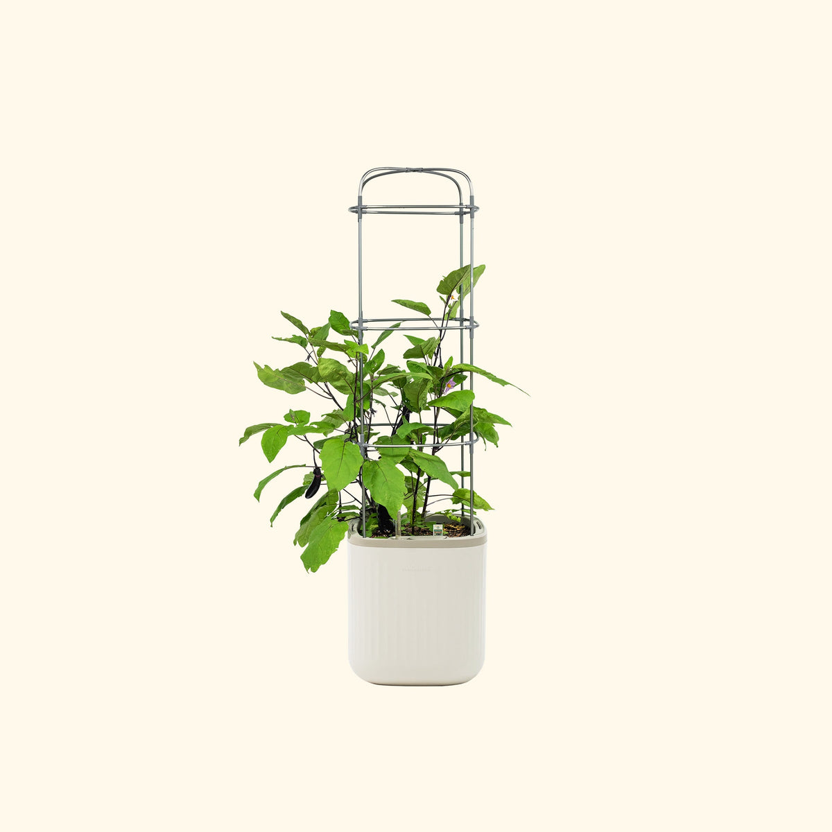 Self-Watering Planter with Trellis