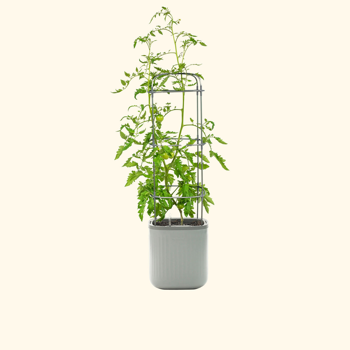 Self-Watering Planter with Trellis