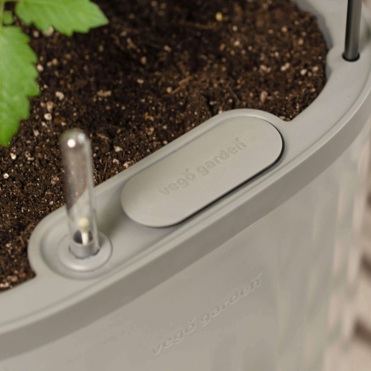 Self-Watering Planter with Trellis