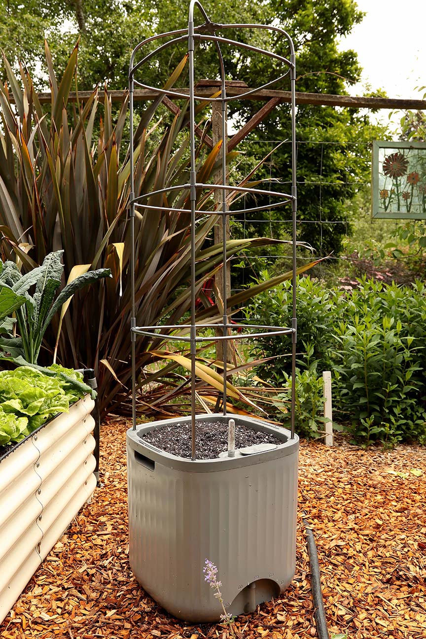 Self-Watering Planter with Trellis