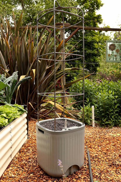 Self-Watering Planter with Trellis
