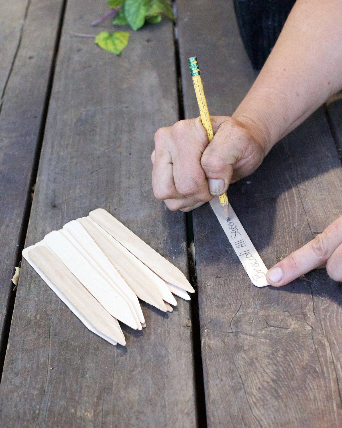 Natural Wooden Plant Stakes
