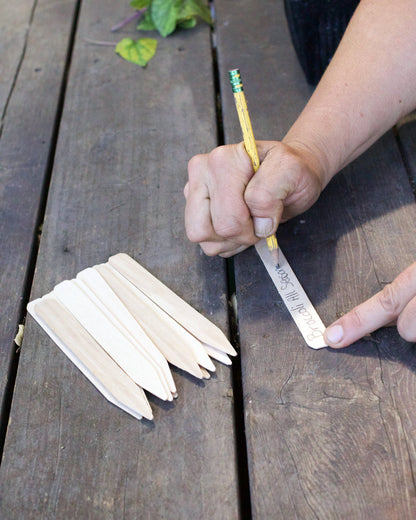 Natural Wooden Plant Stakes