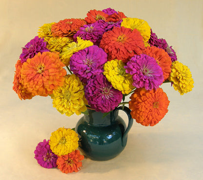 Heirloom Cutting Zinnias - Bling Bling