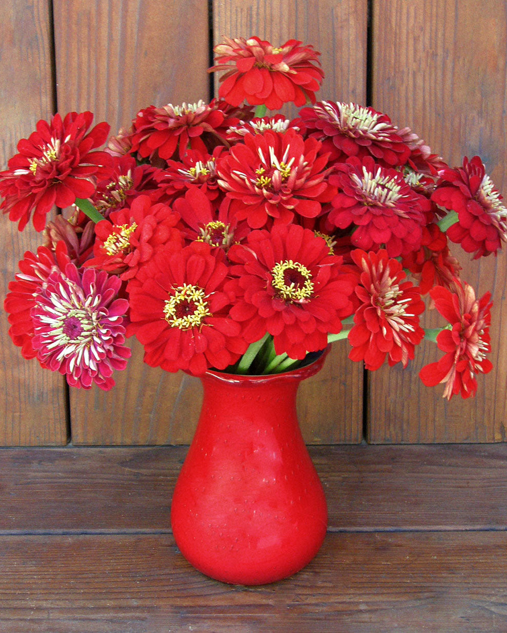 Heirloom Cutting Zinnias - Moulin Rouge