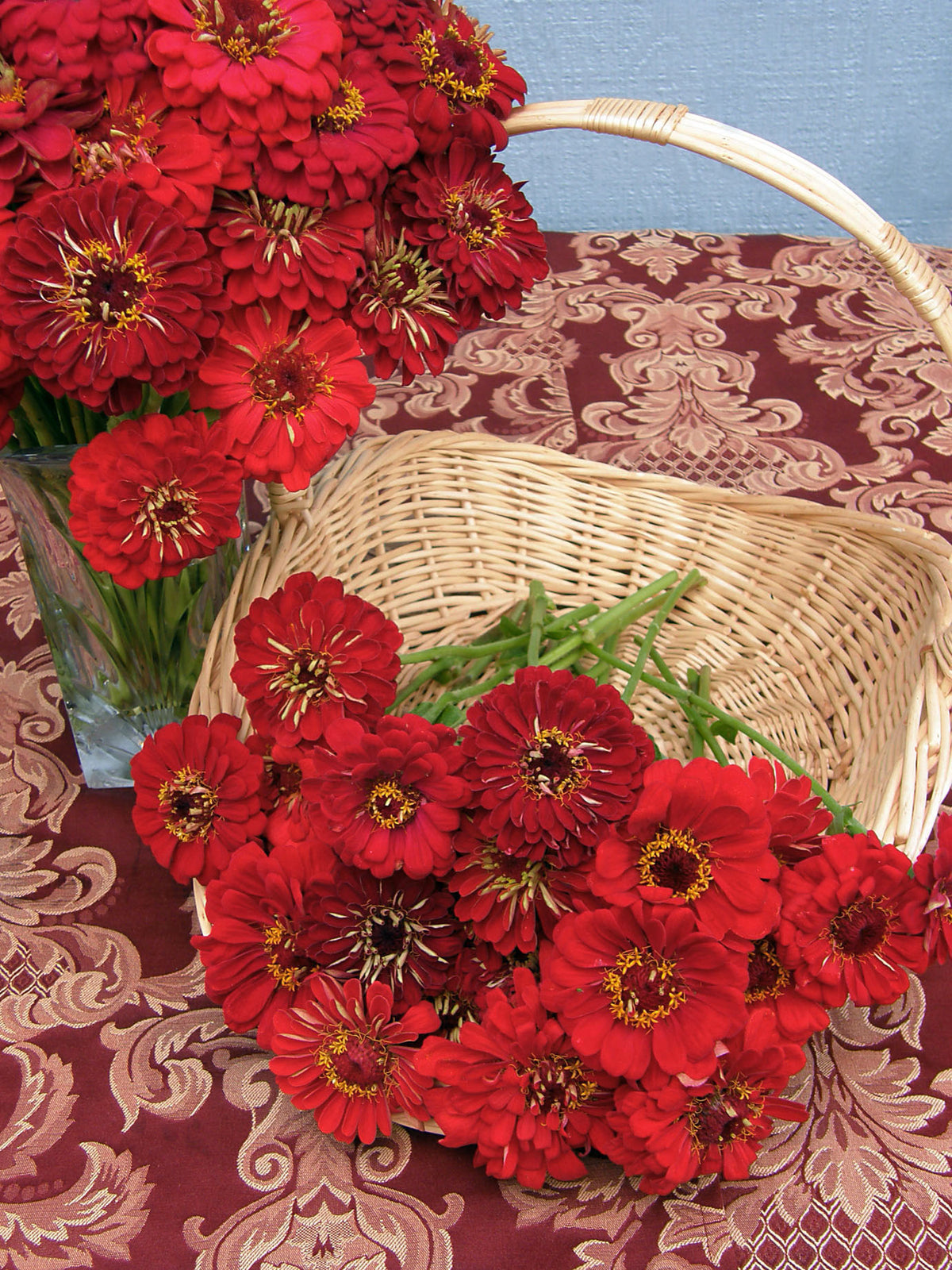 Heirloom Cutting Zinnias - Moulin Rouge