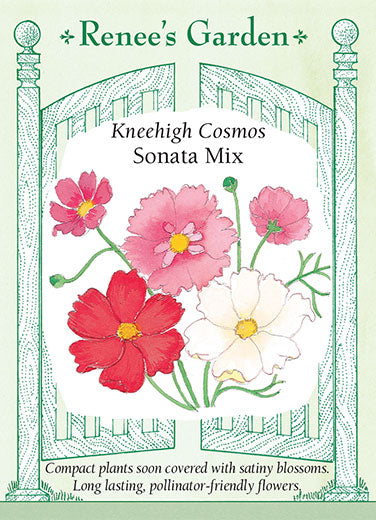 Kneehigh Cosmos - Sonata Mix