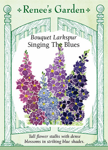 Bouquet Larkspur - Singing the Blues