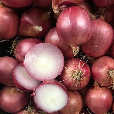 Long Keeping Onions - Blush F1