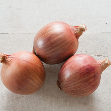 Long Keeping Onions - Blush F1