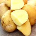 Seed Potatoes - Heirloom German Butterball