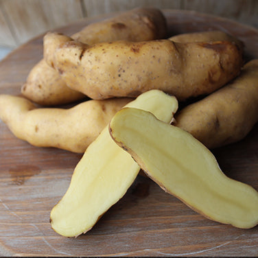 Seed Potatoes - Heirloom Russian Banana Fingerlings