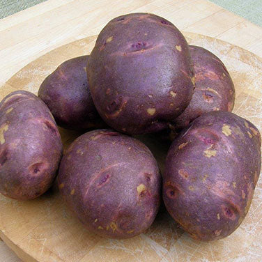 Seed Potatoes - Heirloom Viking